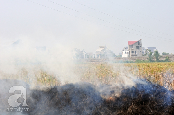 sương mù hà nội